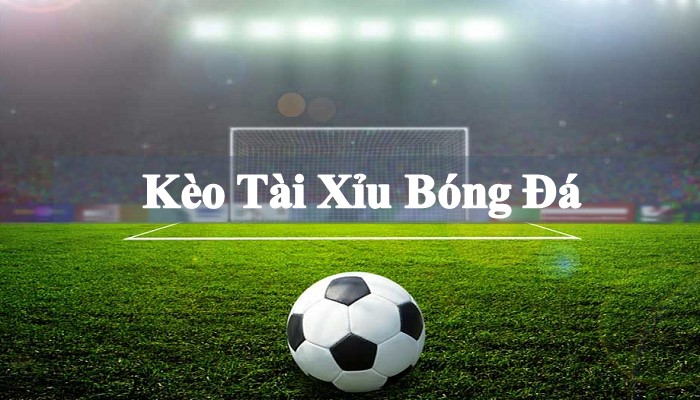 Cách chơi tài xỉu 1 1 4