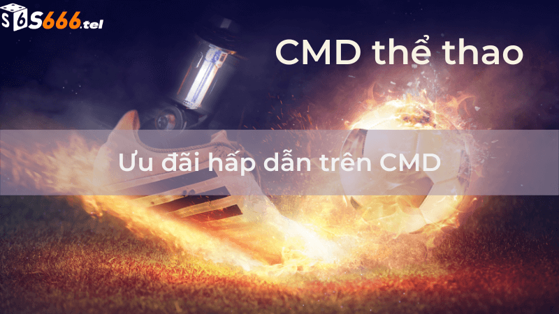 Giới Thiệu Về Cá Cược CMD Thể Thao Thú Vị