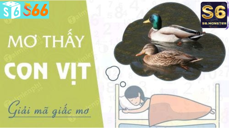 giải mã giấc mơ thấy vịt